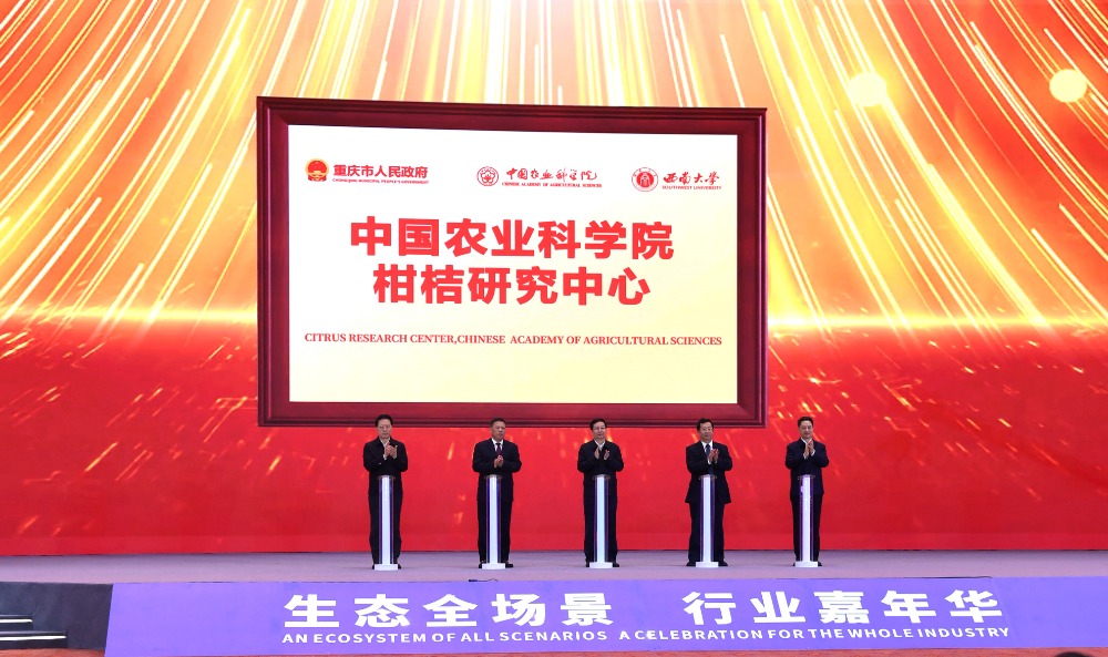 文件名称:image2.jpeg原图大小:NaNGB