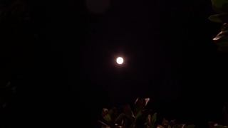 微信图片_20200408230015.gif