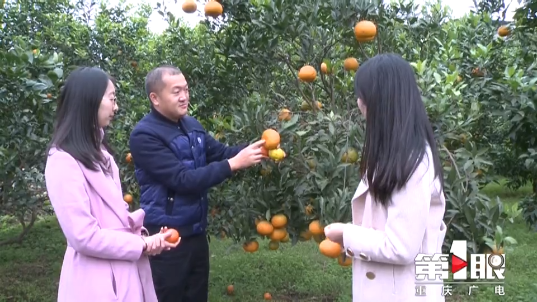 微信图片_202012031743254.png